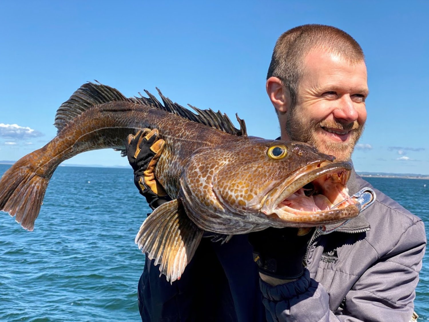 Todd Mittge holds a lingcod he caught 20 miles off the coast of Westport while charter fishing aboard the Tequila Too on Wednesday, June 16, 2021. This was the biggest fish caught that day on the charter boat, weighing in at 16.5 pounds.